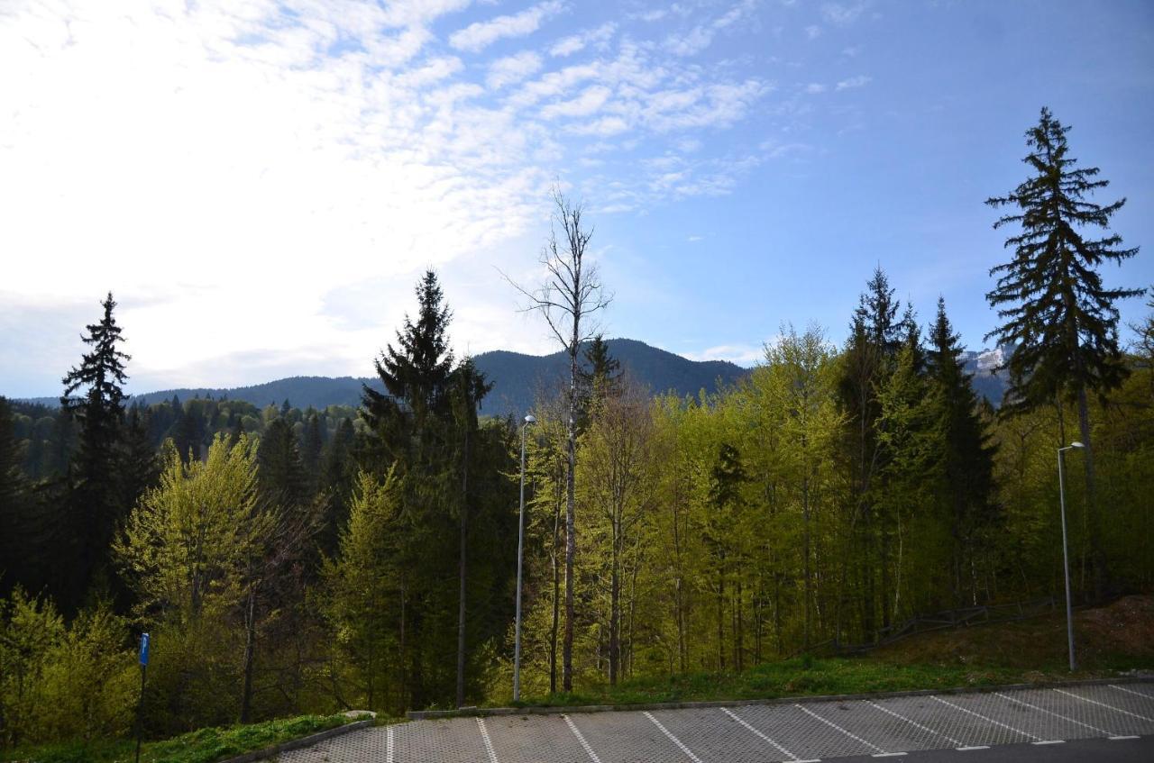 Silver Pine Apartment Poiana Brasov Exteriör bild